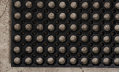 Avenu 40 х 60 - 16 мм